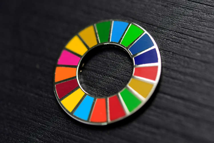 YK Agenda 2030 Kestävän Kehityksen pinssi